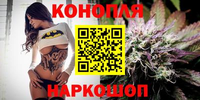 стафф Будённовск