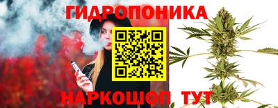 мяу мяу мука Бугуруслан