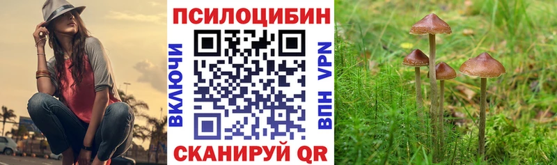 Галлюциногенные грибы мицелий Ртищево