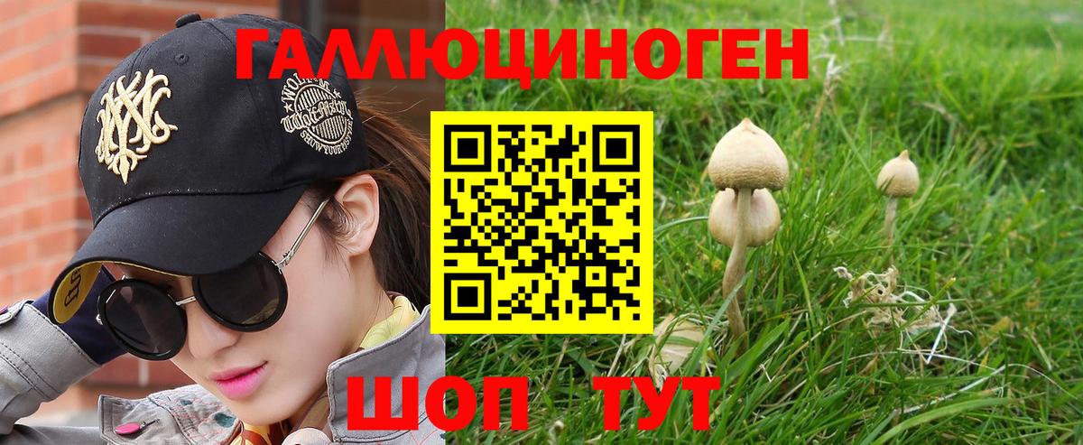 Ртищево  Псилоцибиновые грибы Psilocybine cubensis  Вход с VPN 